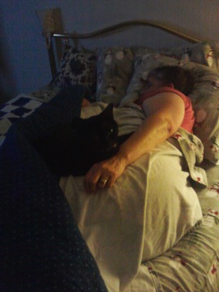 A black cat laying on top of a sleeping older woman